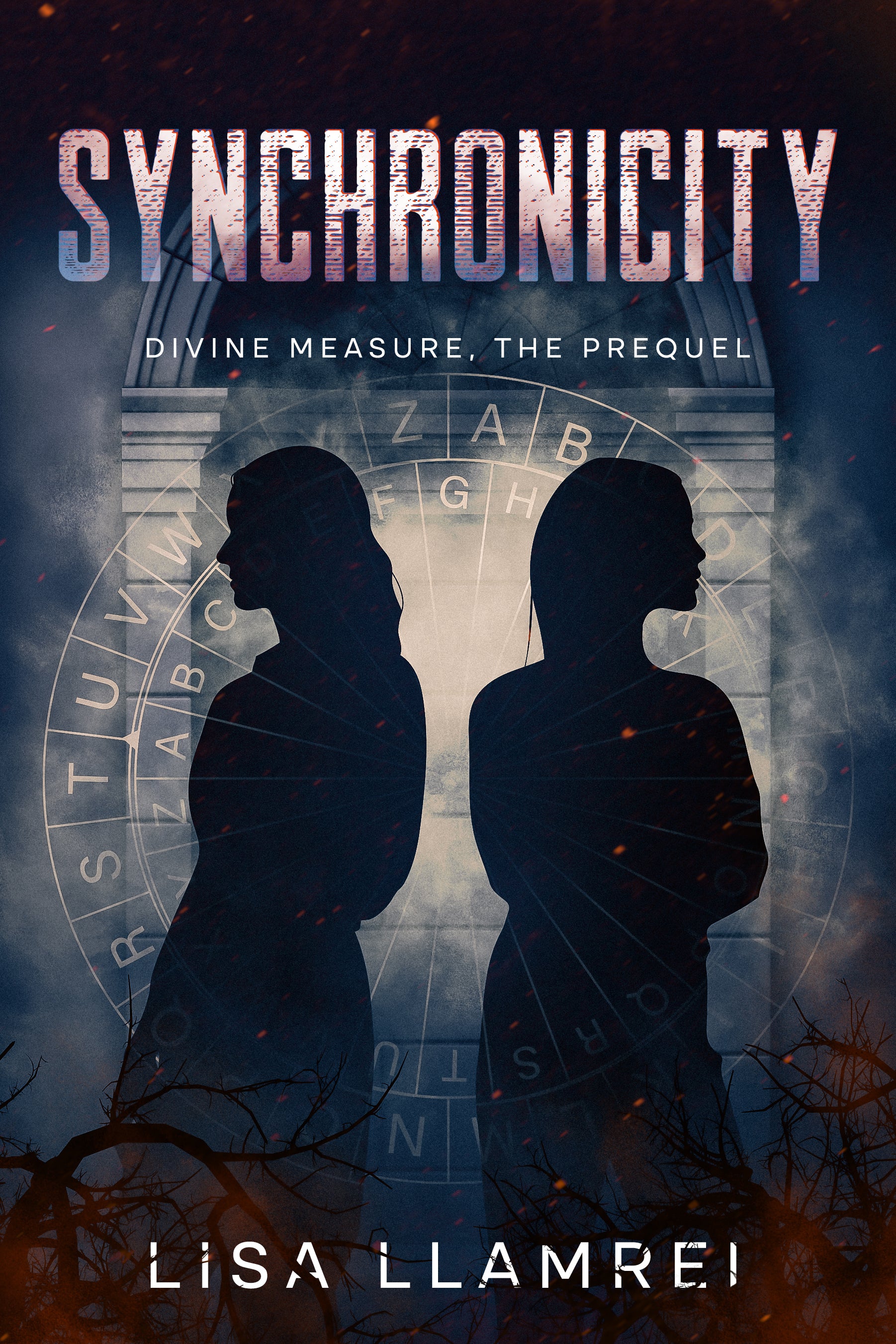 Synchronicity - Paperback
